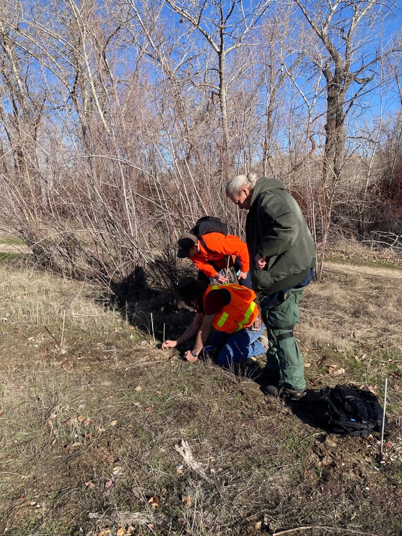 IRIS team members marking and examining evidence during a field search