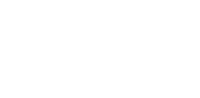 Bloodline Detectives